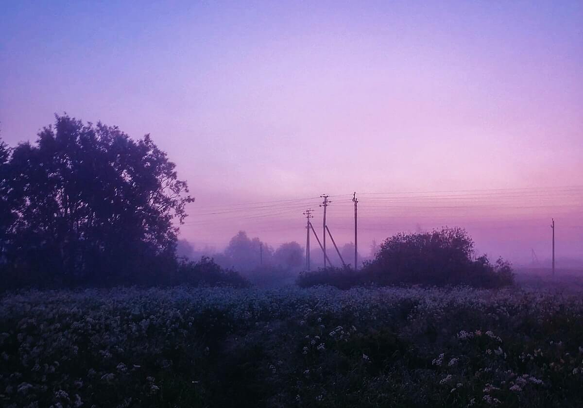 333体育|电竞-官方网站-博鱼电竞官网：引领电竞新风向的全方位娱乐平台